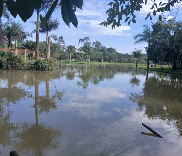 Eco-Lakes International (15)
