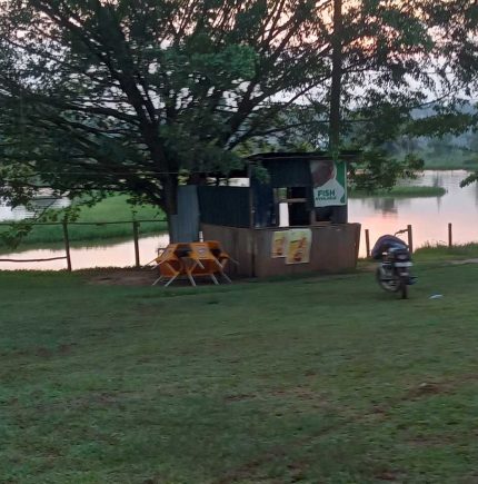 Festino-Beach-in mukono