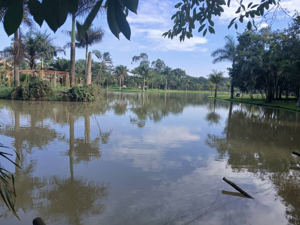 Eco-Lakes International (15)